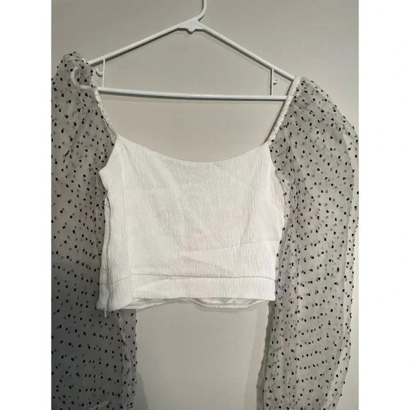 Zara White Cropped Mesh Puff Sleeve Swiss Dot Top - Picture 6 of 10